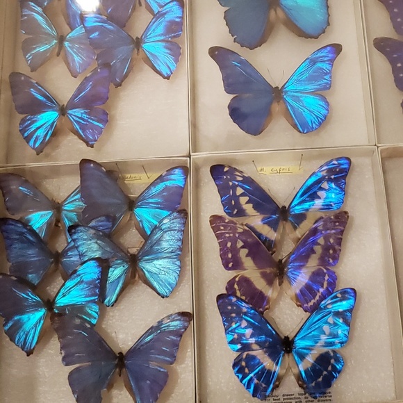 Meet your Posher, Gladys - Picture 3 of 5